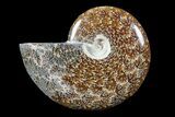 Polished, Agatized Ammonite (Cleoniceras) - Madagascar #88071-1